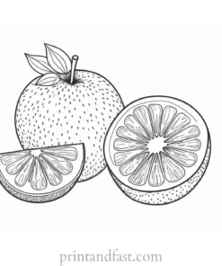 fruit coloring page realistic