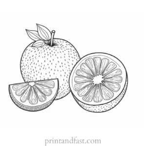 fruit coloring page realistic