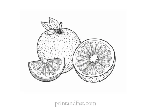 fruit coloring page realistic