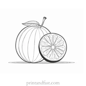 fruit coloring page simple