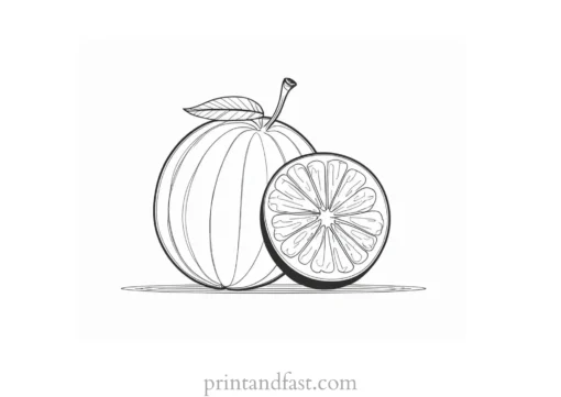 fruit coloring page simple