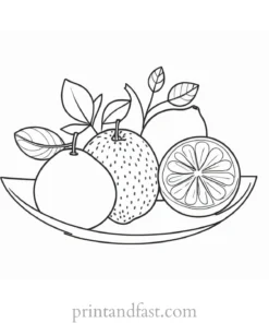 fruit coloring page spring