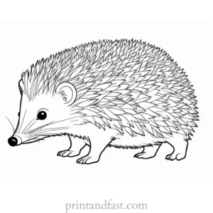 funny hedgehog coloring page