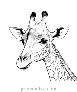 giraffe coloring page adult