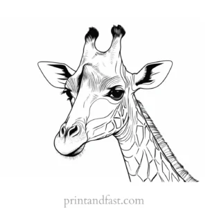 giraffe coloring page adult