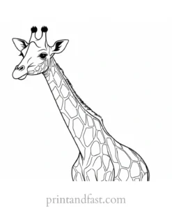 giraffe coloring page cartoon