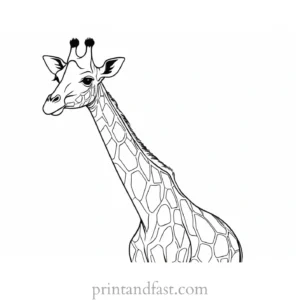 giraffe coloring page cartoon