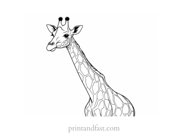 giraffe coloring page cartoon