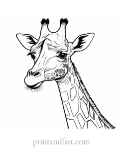 giraffe coloring page cute