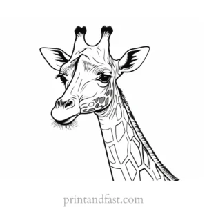 giraffe coloring page cute