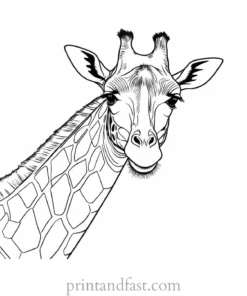 giraffe coloring page easy