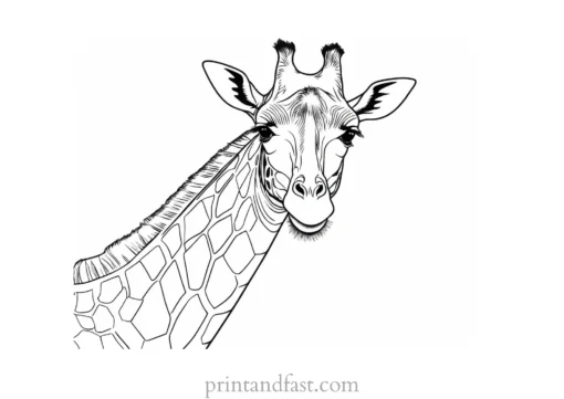 giraffe coloring page easy