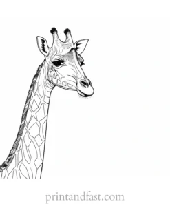 giraffe coloring page free