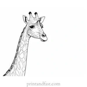 giraffe coloring page free