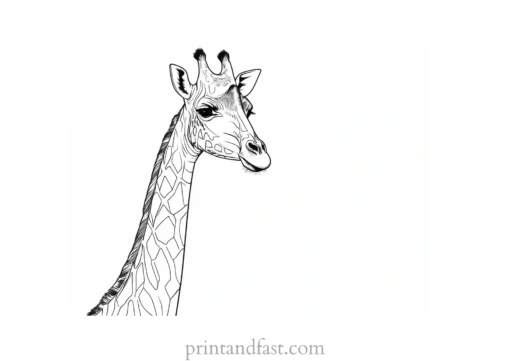 giraffe coloring page free