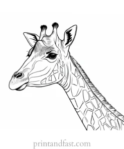 giraffe coloring page online