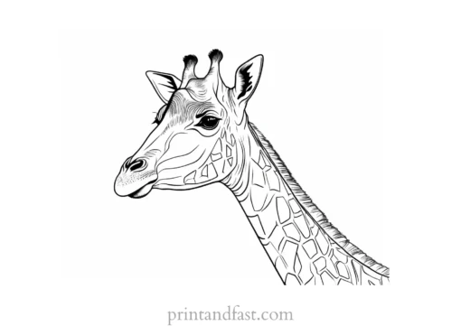 giraffe coloring page online