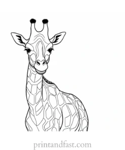 giraffe coloring page outline