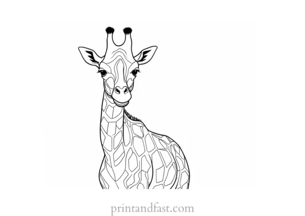 giraffe coloring page outline