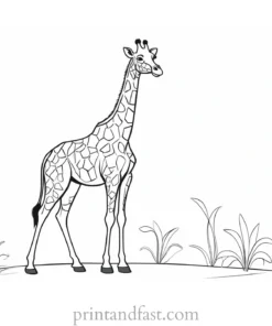 giraffe coloring page preschool