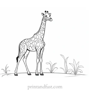 giraffe coloring page preschool