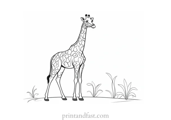 giraffe coloring page preschool