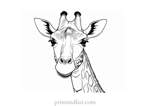 giraffe coloring page printable