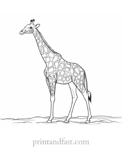 giraffe coloring page simple