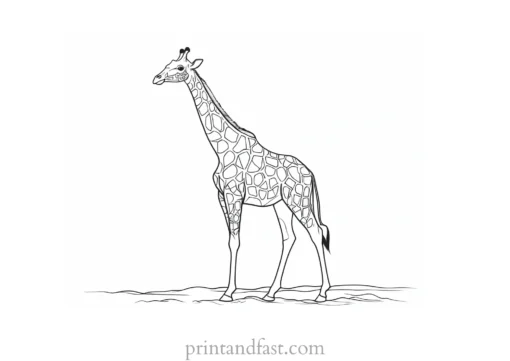 giraffe coloring page simple