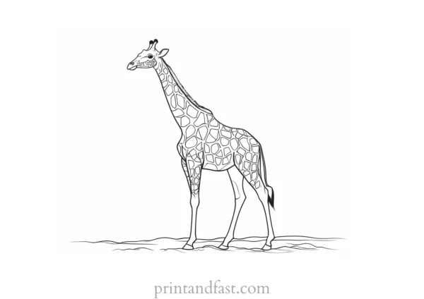 giraffe coloring page simple