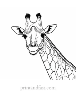 giraffe coloring page template