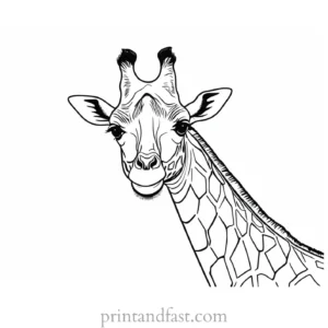 giraffe coloring page template