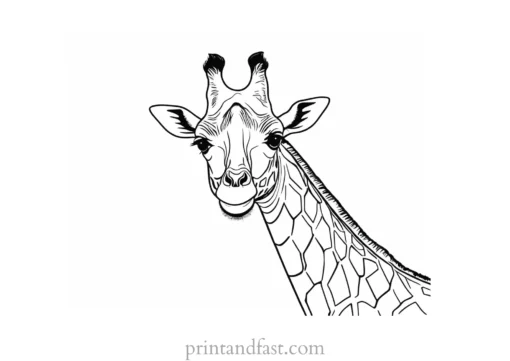 giraffe coloring page template