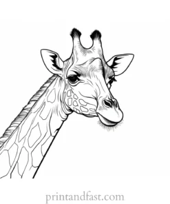 giraffe coloring page with safari