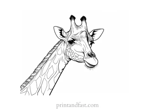 giraffe coloring page with safari