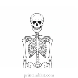 halloween skeleton coloring page