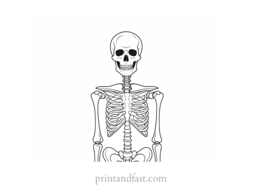 halloween skeleton coloring page