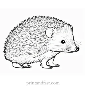 hedgehog coloring page for kids