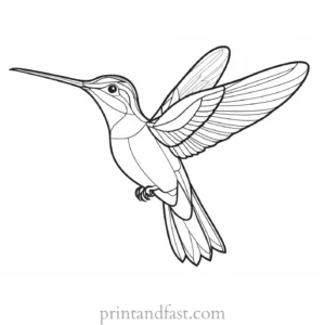 hummingbird Coloring Page Designs