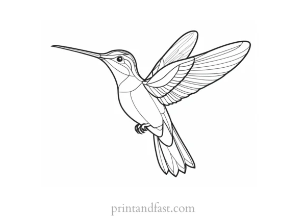 hummingbird Coloring Page Designs