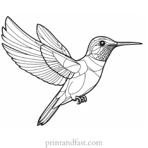 hummingbird Coloring Page Free