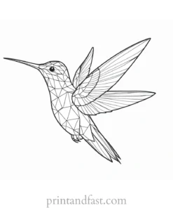 hummingbird Coloring Page Inspiration