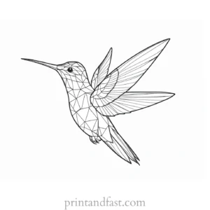 hummingbird Coloring Page Inspiration