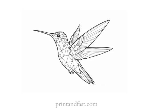 hummingbird Coloring Page Inspiration