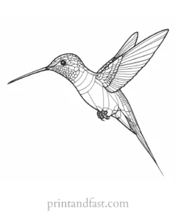 hummingbird Coloring Page PDF