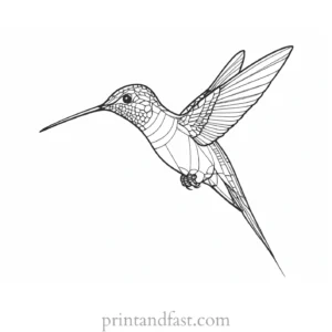 hummingbird Coloring Page PDF