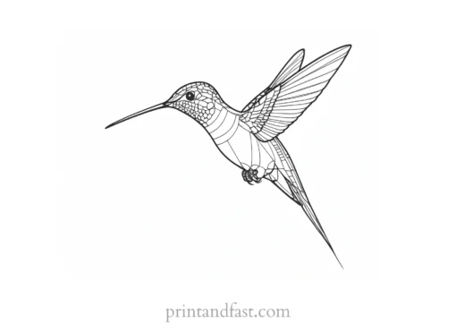 hummingbird Coloring Page PDF