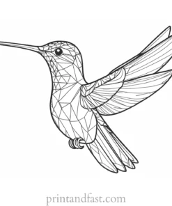 hummingbird Coloring Page Patterns