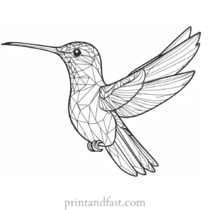 hummingbird Coloring Page Patterns