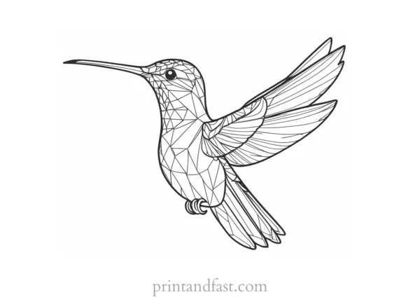 hummingbird Coloring Page Patterns